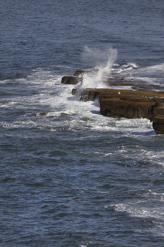 Filey Brigg，北约克郡，英格兰，英国。